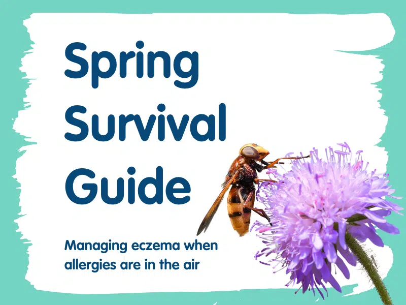 Title graphic saying 'Spring Survival Guide' with a picture of a bee landing on a purple flower. Background it teal green with a white paint style on top.
